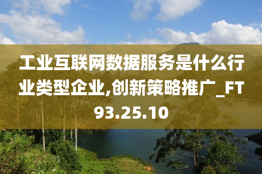 工业互联网数据服务是什么行业类型企业,创新策略推广_FT93.25.10