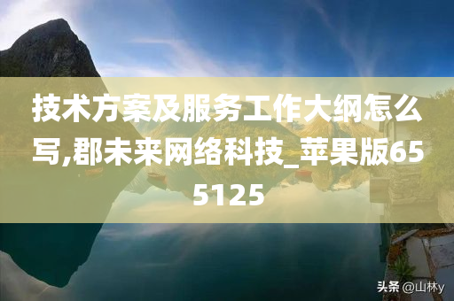 技术方案及服务工作大纲怎么写,郡未来网络科技_苹果版655125