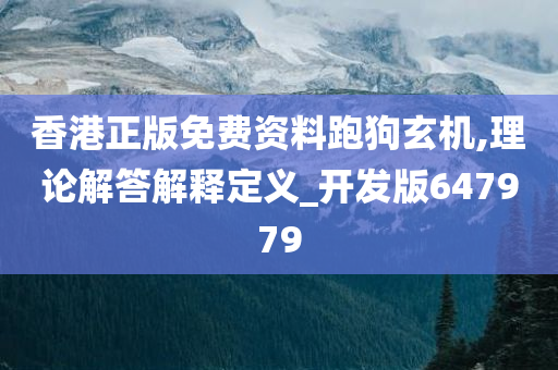 香港正版免费资料跑狗玄机,理论解答解释定义_开发版647979