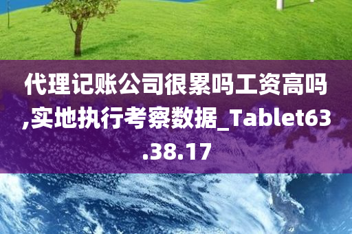 代理记账公司很累吗工资高吗,实地执行考察数据_Tablet63.38.17