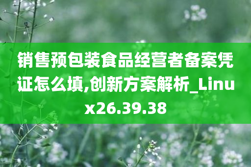 销售预包装食品经营者备案凭证怎么填,创新方案解析_Linux26.39.38