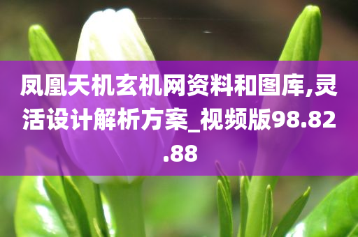 凤凰天机玄机网资料和图库,灵活设计解析方案_视频版98.82.88