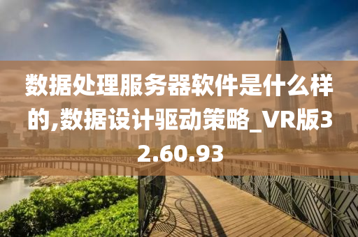 数据处理服务器软件是什么样的,数据设计驱动策略_VR版32.60.93