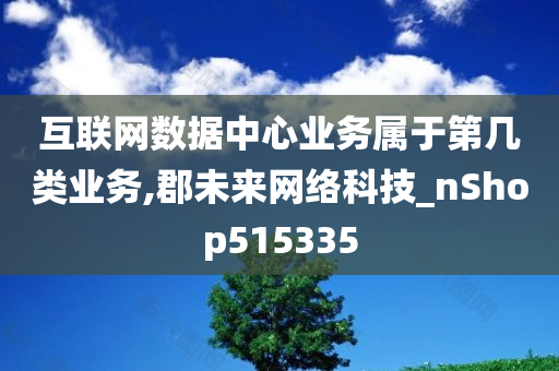 互联网数据中心业务属于第几类业务,郡未来网络科技_nShop515335