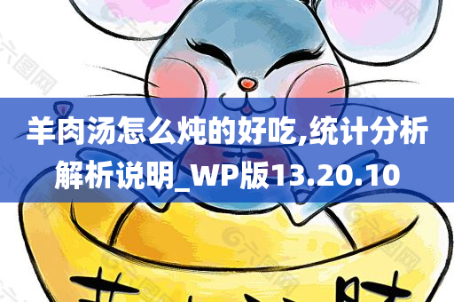 羊肉汤怎么炖的好吃,统计分析解析说明_WP版13.20.10