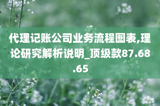 代理记账公司业务流程图表,理论研究解析说明_顶级款87.68.65