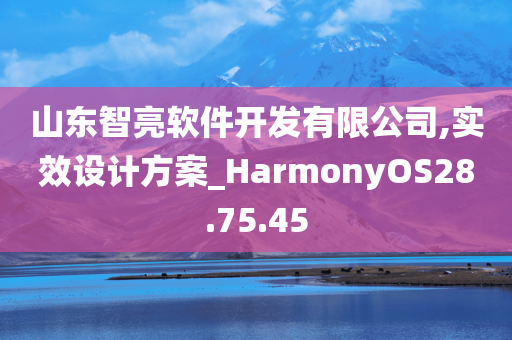 山东智亮软件开发有限公司,实效设计方案_HarmonyOS28.75.45