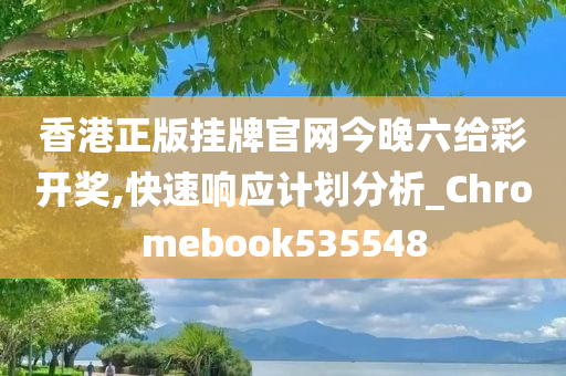 香港正版挂牌官网今晚六给彩开奖,快速响应计划分析_Chromebook535548