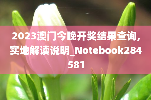 2023澳门今晚开奖结果查询,实地解读说明_Notebook284581