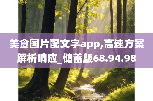 美食图片配文字app,高速方案解析响应_储蓄版68.94.98