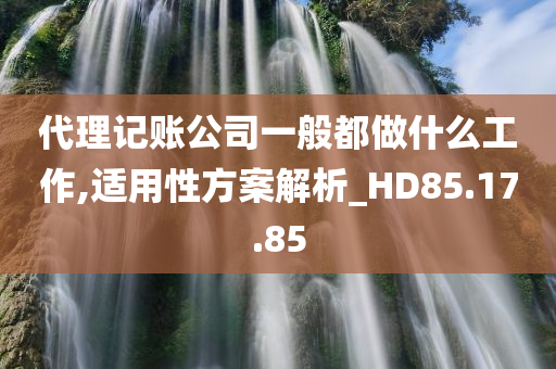 代理记账公司一般都做什么工作,适用性方案解析_HD85.17.85