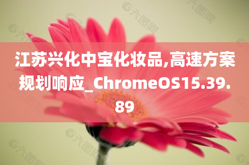 江苏兴化中宝化妆品,高速方案规划响应_ChromeOS15.39.89