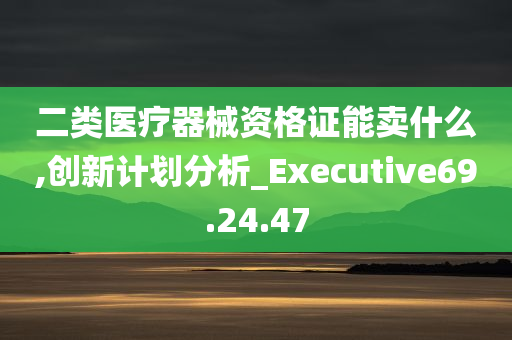 二类医疗器械资格证能卖什么,创新计划分析_Executive69.24.47