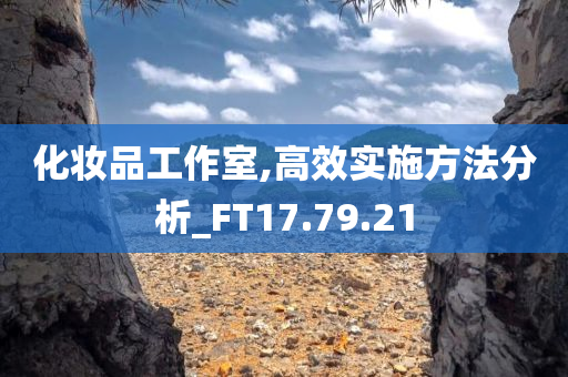 化妆品工作室,高效实施方法分析_FT17.79.21