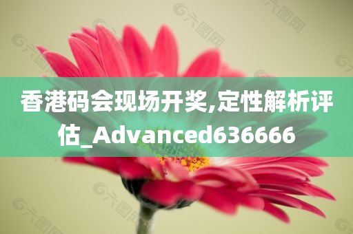 香港码会现场开奖,定性解析评估_Advanced636666