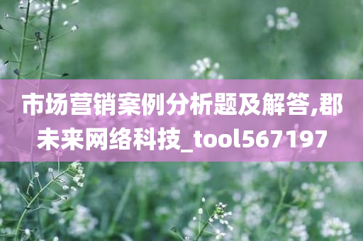 市场营销案例分析题及解答,郡未来网络科技_tool567197