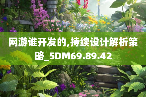 网游谁开发的,持续设计解析策略_5DM69.89.42