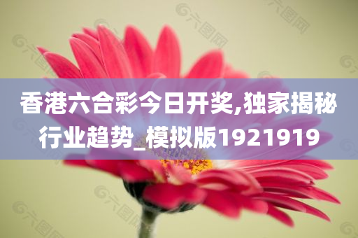 香港六合彩今日开奖,独家揭秘行业趋势_模拟版1921919