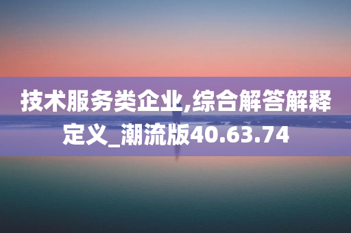 技术服务类企业,综合解答解释定义_潮流版40.63.74