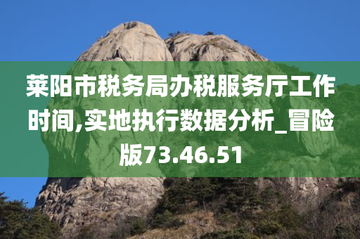 莱阳市税务局办税服务厅工作时间,实地执行数据分析_冒险版73.46.51