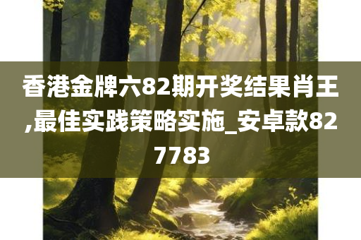 香港金牌六82期开奖结果肖王,最佳实践策略实施_安卓款827783