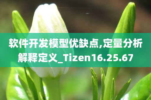 软件开发模型优缺点,定量分析解释定义_Tizen16.25.67