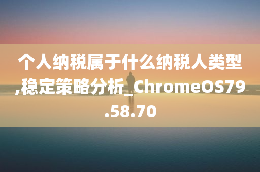 个人纳税属于什么纳税人类型,稳定策略分析_ChromeOS79.58.70