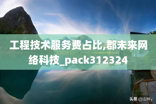 工程技术服务费占比,郡未来网络科技_pack312324