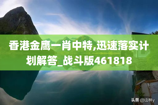 香港金鹰一肖中特,迅速落实计划解答_战斗版461818