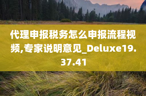 代理申报税务怎么申报流程视频,专家说明意见_Deluxe19.37.41