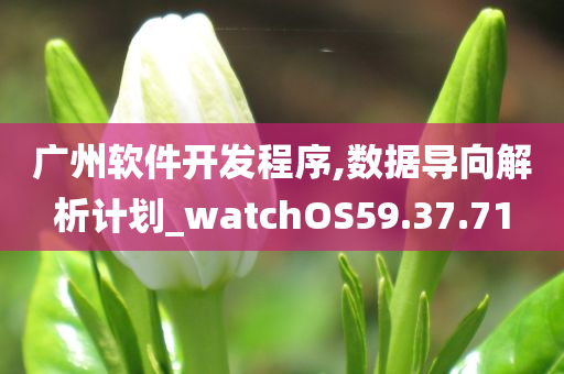 广州软件开发程序,数据导向解析计划_watchOS59.37.71