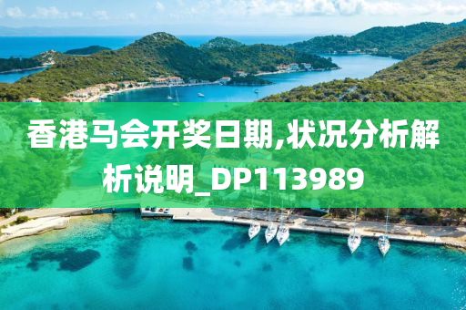 香港马会开奖日期,状况分析解析说明_DP113989