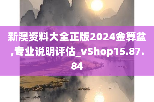 新澳资料大全正版2024金算盆,专业说明评估_vShop15.87.84