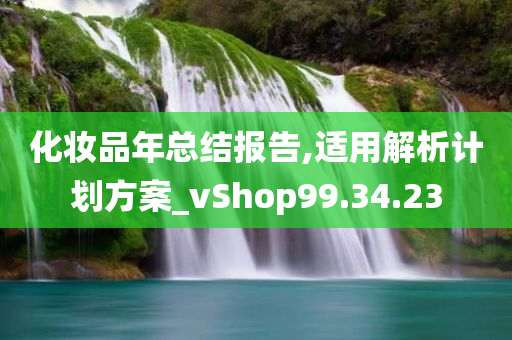 化妆品年总结报告,适用解析计划方案_vShop99.34.23