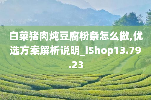 白菜猪肉炖豆腐粉条怎么做,优选方案解析说明_iShop13.79.23