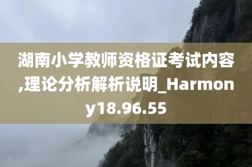 湖南小学教师资格证考试内容,理论分析解析说明_Harmony18.96.55