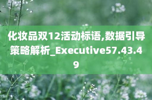 化妆品双12活动标语,数据引导策略解析_Executive57.43.49