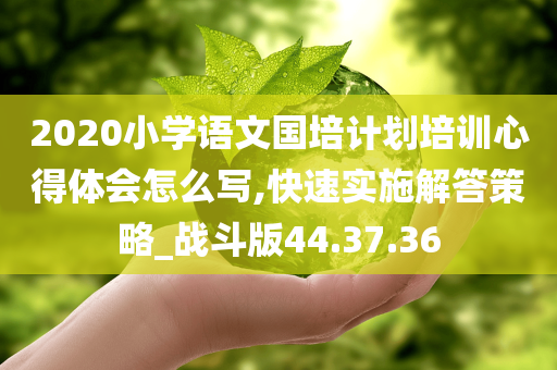 2020小学语文国培计划培训心得体会怎么写,快速实施解答策略_战斗版44.37.36