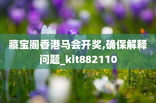 藏宝阁香港马会开奖,确保解释问题_kit882110