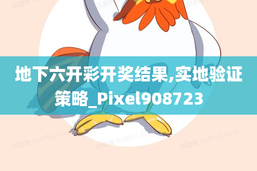 地下六开彩开奖结果,实地验证策略_Pixel908723