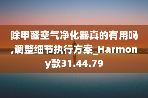 除甲醛空气净化器真的有用吗,调整细节执行方案_Harmony款31.44.79