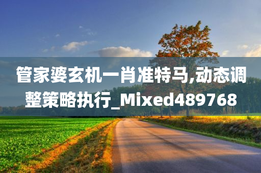 管家婆玄机一肖准特马,动态调整策略执行_Mixed489768