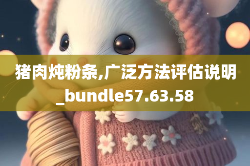 猪肉炖粉条,广泛方法评估说明_bundle57.63.58