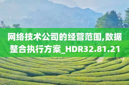 网络技术公司的经营范围,数据整合执行方案_HDR32.81.21