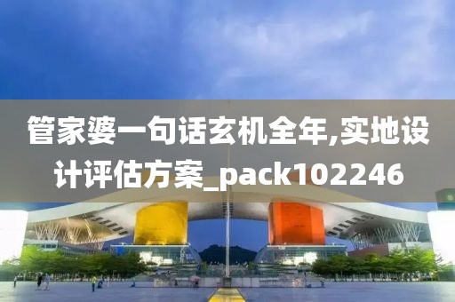 管家婆一句话玄机全年,实地设计评估方案_pack102246