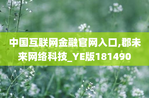 中国互联网金融官网入口,郡未来网络科技_YE版181490