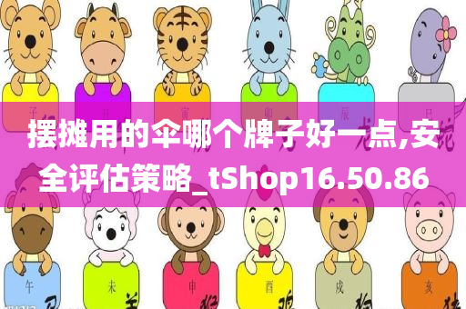 摆摊用的伞哪个牌子好一点,安全评估策略_tShop16.50.86