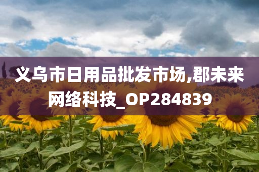 义乌市日用品批发市场,郡未来网络科技_OP284839