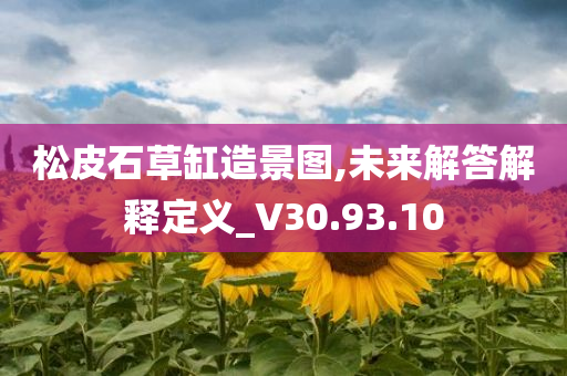 松皮石草缸造景图,未来解答解释定义_V30.93.10