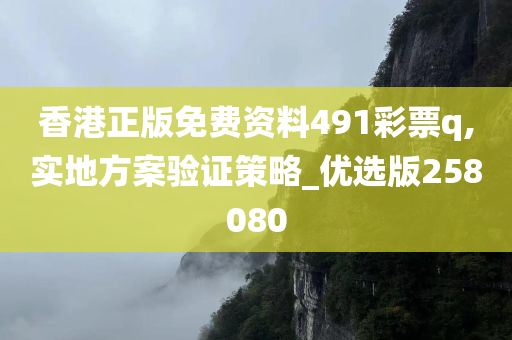 香港正版免费资料491彩票q,实地方案验证策略_优选版258080